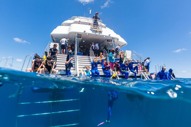 Great Barrier Reef Snorkeling and Diving Cruise From Cairns - Safety and Requirements