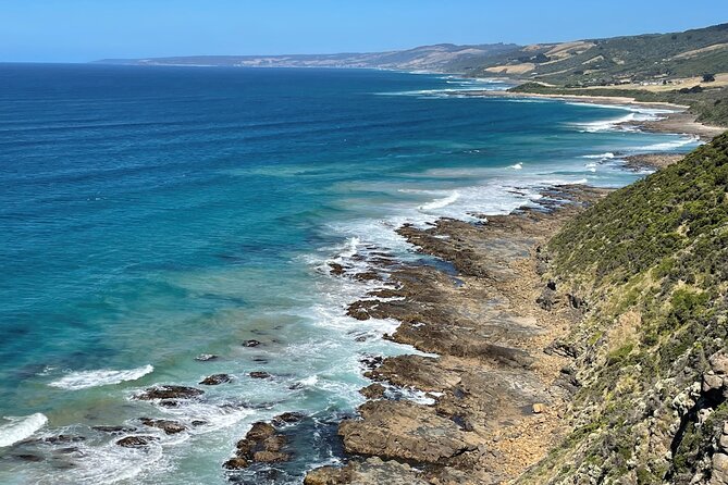 Great Ocean Road Morning at 12 Apostles Scenic Melbourne Day Tour - Scenic Views