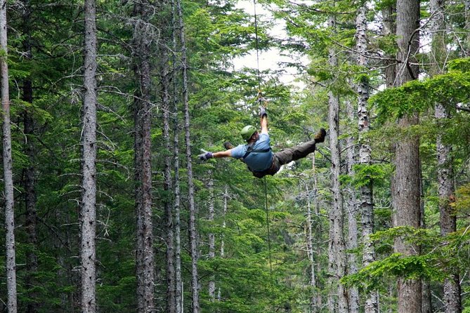 Grizzly Falls Ziplining Expedition - Inclusions and Logistics
