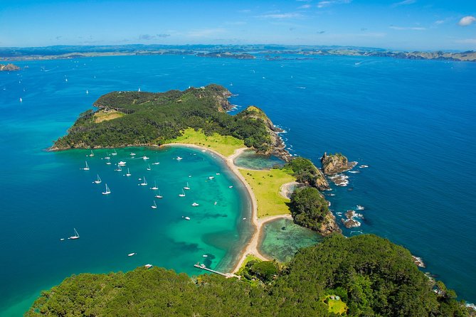 Group Tour to Bay of Islands Return From Auckland - Customer Reviews