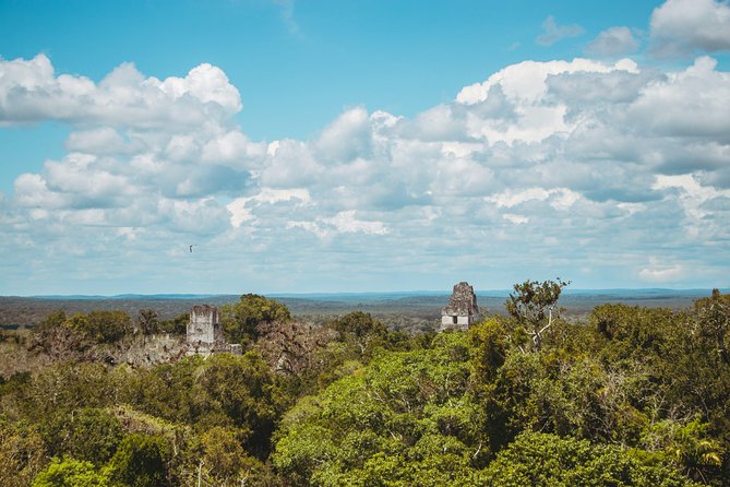 Guided All-Day Private Tour of Tikal National Park  - Flores - Tour Highlights