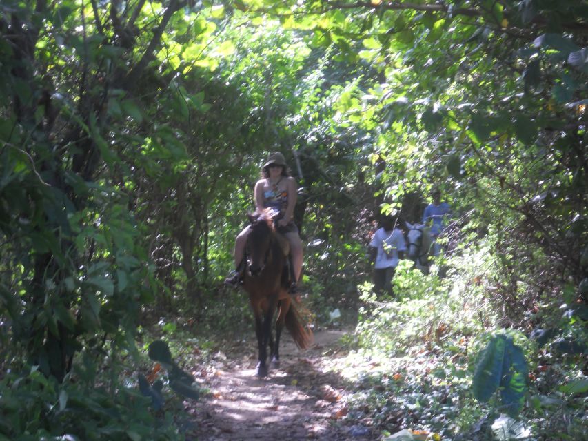 Guided Beach Horseback Riding, Dunn's River Falls & Park - Tour Description