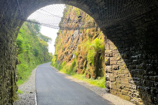 Guided Bike Ride: Exploring the Limerick Greenway - Scenic Stops and Points of Interest
