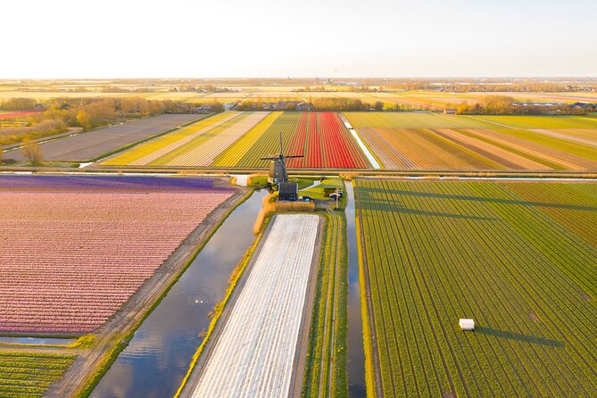 Guided Bike Tour Along the Dutch Tulip Fields in Noord Holland - Itinerary Highlights