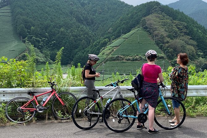 Guided Bike Tour to a Green Tea Farm in Shizuoka - Green Tea Farm Location