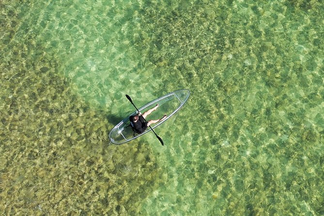 Guided Clear Kayak Eco-Tour Near Key West - Customer Feedback and Reviews