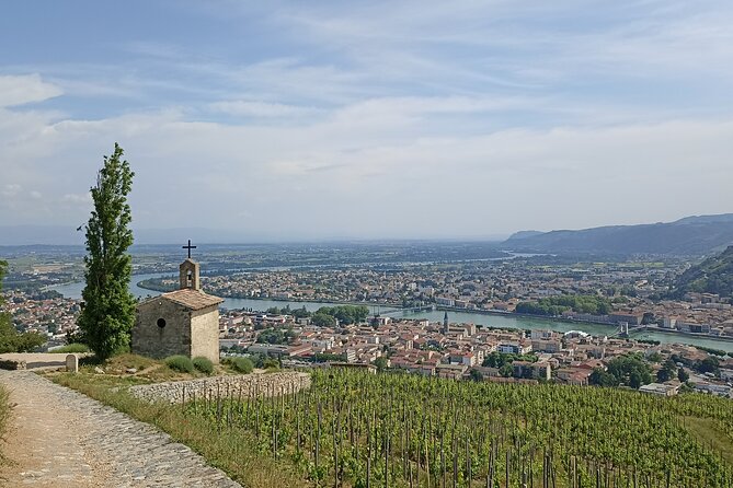 Guided Day Tour and Wine Tasting Northern Rhône Valley - Expert Tour Guides