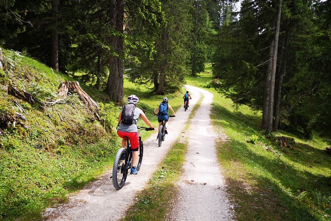 Guided E-Bike Tour of the Alpine Pastures in the Salzkammergut - Itinerary Details