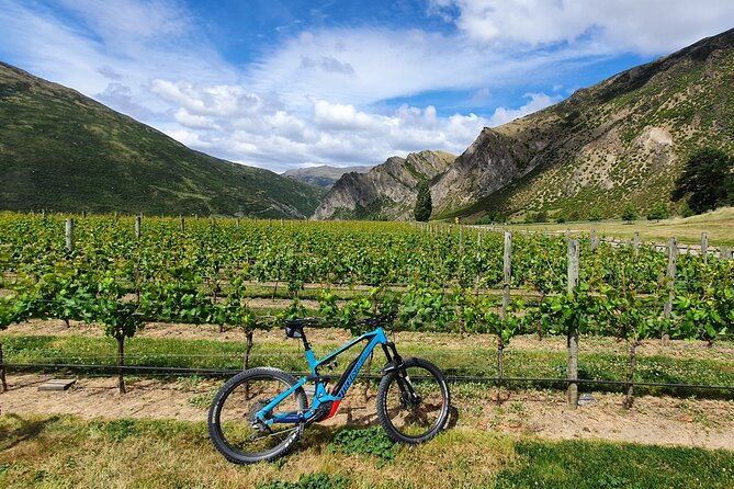 Guided Ebike Wine Tour Ride to the Vines - Customer Reviews