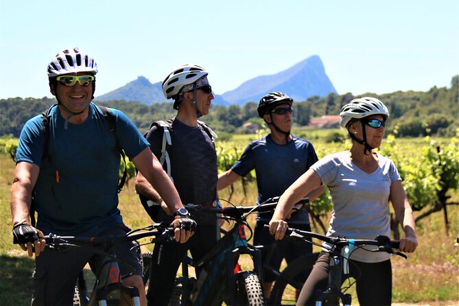 Guided Electric Bike Tours With Tasting in Pic Saint Loup - Pricing and Booking Details
