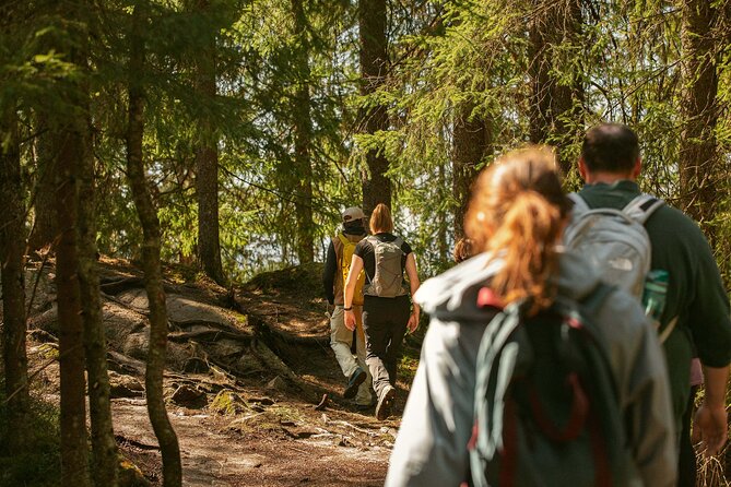 Guided Group Walk Tour in Norway Holmenkollen - Inclusions and Services Provided