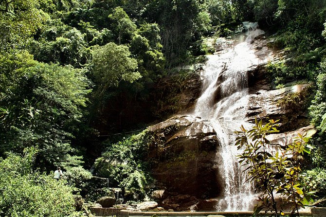 Guided Jeep Adventure Through Tijuca Rain Forest - Tour Highlights and Activities