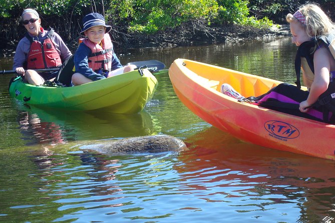 Guided Kayak Eco Tour - Bunche Beach - Customer Experiences and Reviews
