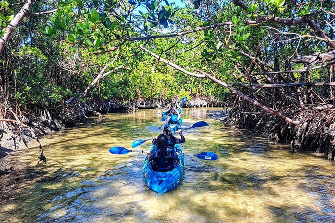 Guided Kayak Mangrove Ecotour in Rookery Bay Reserve, Naples - Cancellation Policy Details