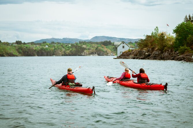 Guided Kayak Tour Bergen - Tour Expectations
