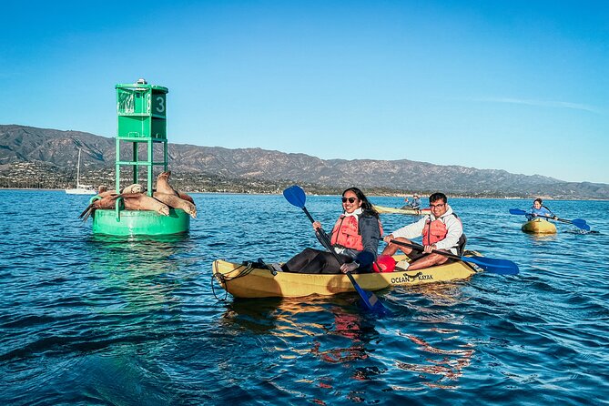 Guided Kayak Wildlife Tour in the Santa Barbara Harbor - Meeting and Pickup Details