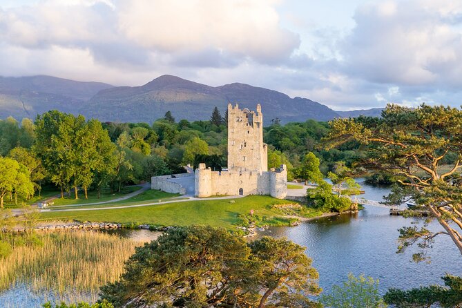 Guided Killarney National Park Tour - Meeting Point Details