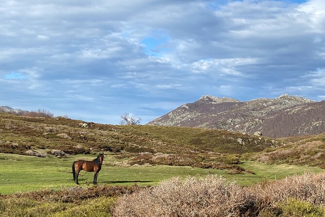 Guided Ride on the Plateau Du Coscione by Electric Mountain Bike - Expert Guided Tour Experience