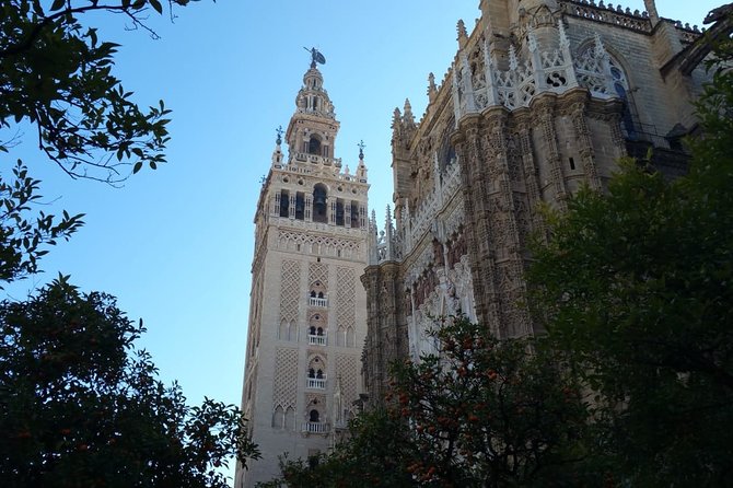 Guided Tour Sevilla Cathedral - Tour Information