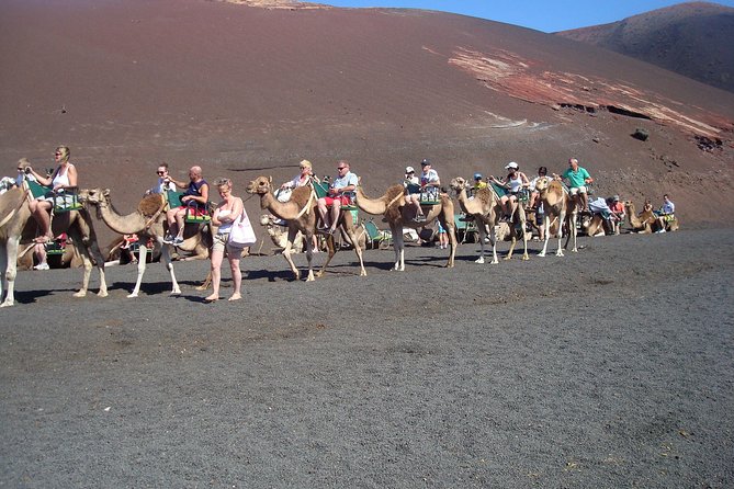 Guided Tour: Timanfaya National Park With Pick-Up - Meeting and Pickup