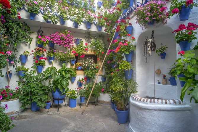 Guided Tour to the Popular Patios of Cordoba - Floral Tradition