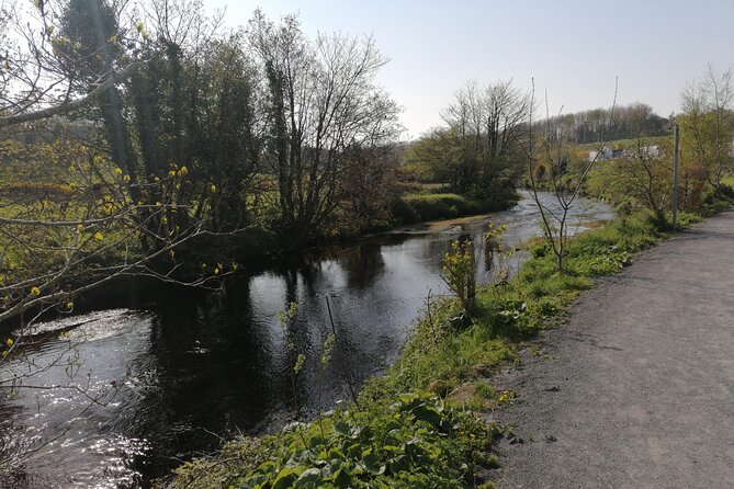 Guided Walking Tour in Stunning County Waterford Ireland - Guide Information