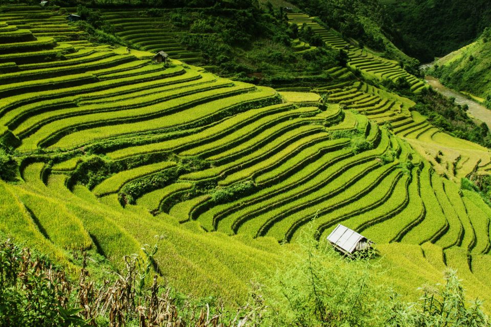 Guilin Longji Terraces Private Day Tour - Live English-Speaking Tour Guide