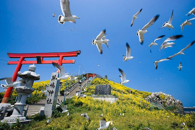 Hachinohe Half-Day Private Trip With Government-Licensed Guide - Private Tour Inclusions
