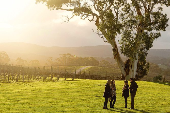 Hahndorf and Adelaide Hills Hop-On Hop-Off Winery Tour From City - Meeting and Logistics