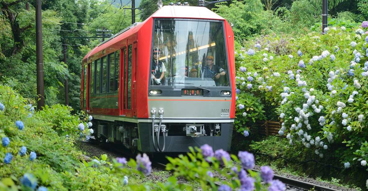 Hakone: Train Pass With Unlimited Rides & Activity Discounts - Experience Inclusions