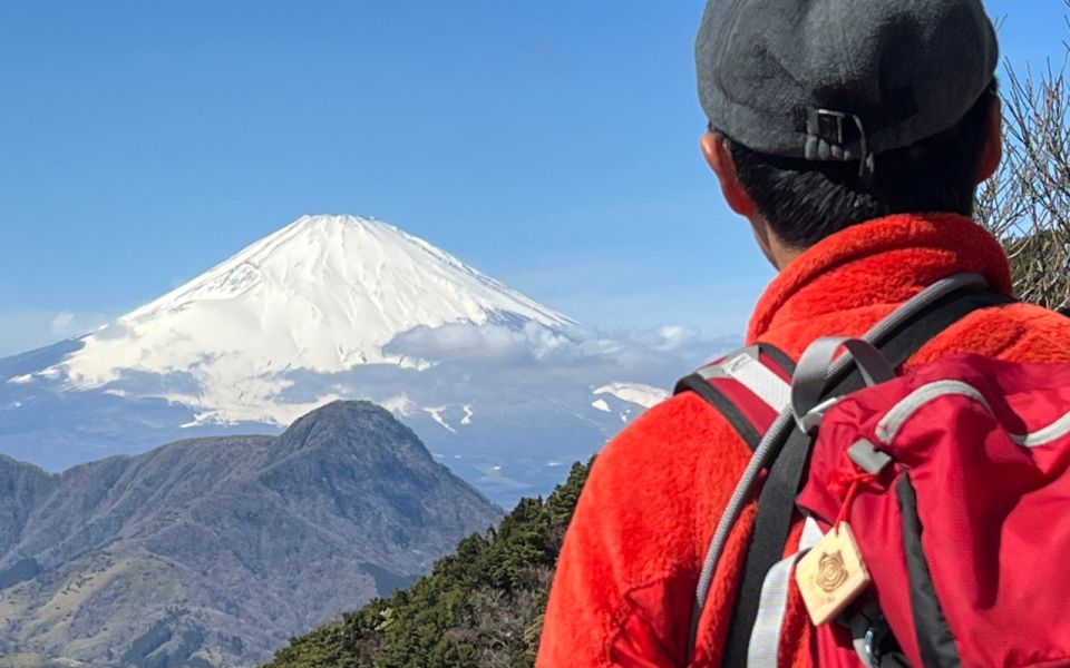 Hakone: Traverse the Hakone Caldera and Enjoy Onsen - Highlights