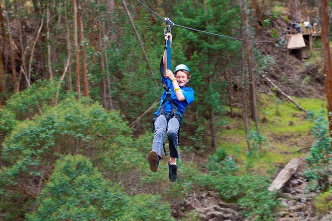 Haleakala 5 Line Zipline Adventure - Additional Information