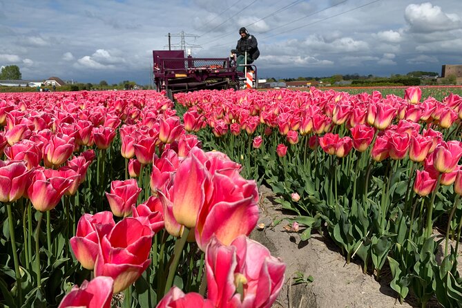 Half a Day Bicycle Tour to Flower Park Keukenhof - Reviews