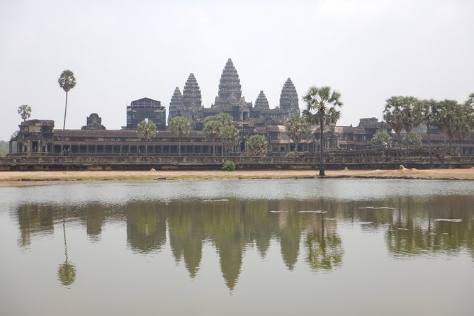 Half Day Birding in Angkor Wat - Expert Birding Tips