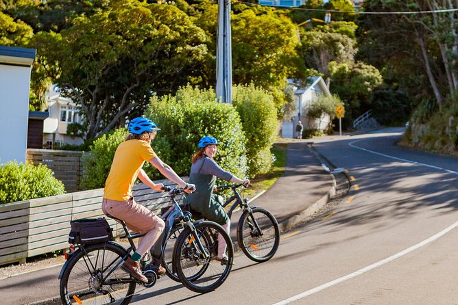 Half-Day E-Bike Rental With Helmet and Map, Wellington - Cancellation Policy