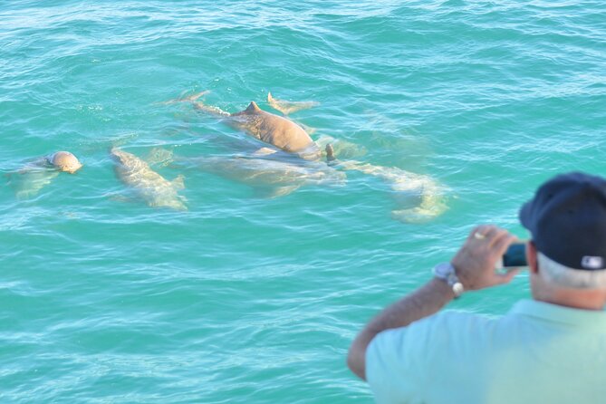 Half-Day Eco Cruise to Spot Snubfin Dolphins, Dugongs and More (Mar ) - Eco Cruise Schedule