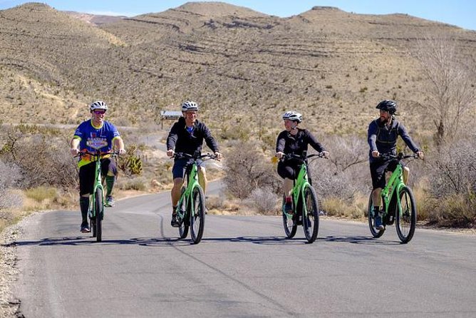 Half-Day Electric Bike Tour of Red Rock Canyon - Guide Experience