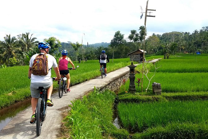 Half-Day Electric Cycling Tour of Ubud - Booking and Cancellation Policies