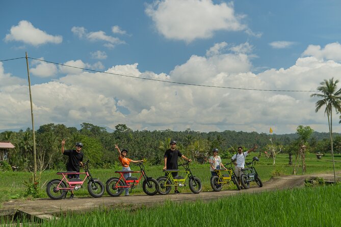 Half-Day Electric Fat Bike Tour of Ubud - Traveler Reviews