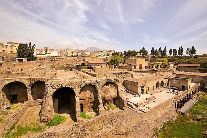 Half-Day Exclusive Private Tour of Pompeii and Herculaneum - Booking Information