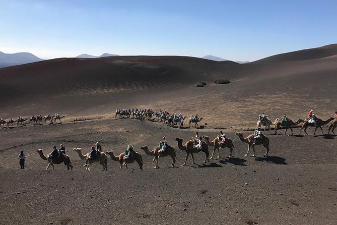 Half Day Excursion to the Timanfaya National Park and the Volcanoes  - Lanzarote - Convenient Pick-Up Options