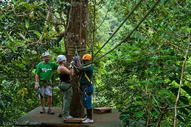 Half Day Fiji Zip-Line Tour at Pacific Harbour - Tour Inclusions