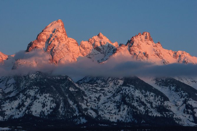 Half-Day Grand Teton Wildlife Private Safari Tour - Booking and Cancellation Policy