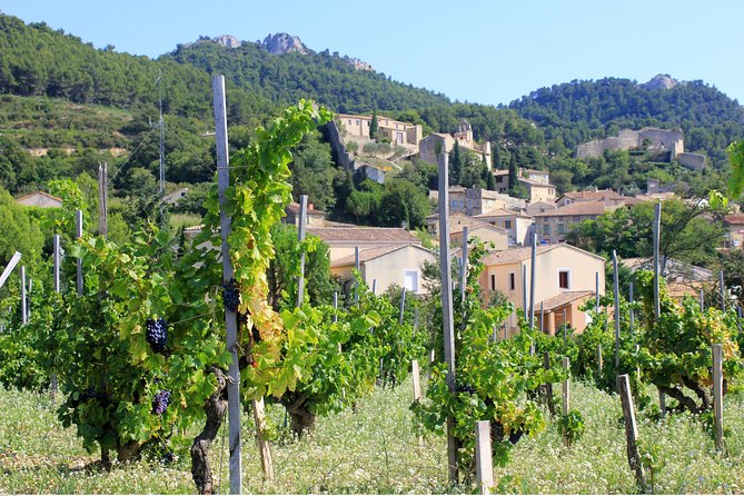 Half Day Great Vineyard Tour From Avignon - Start Time and Cancellation Policy