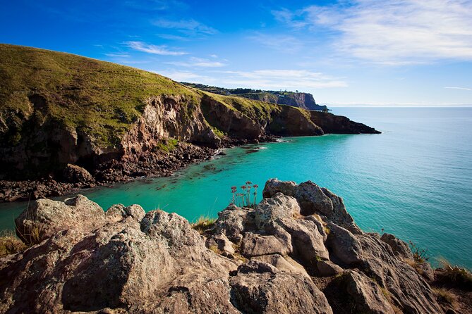 Half Day Guided Walking Tour on Banks Peninsula - Pick-up Options