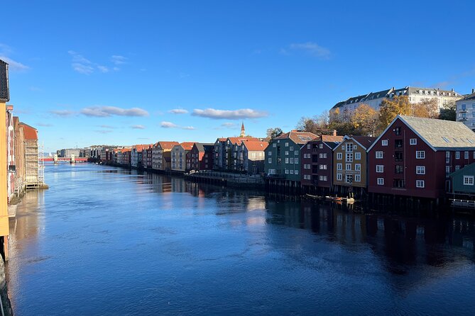 Half-Day Highlights of Trondheim by Bus and City Walk - Communication and Guest Requirements