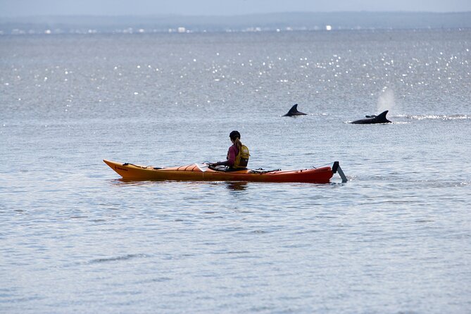 Half-Day Jervis Bay Sea Kayak Tour - Itinerary Highlights