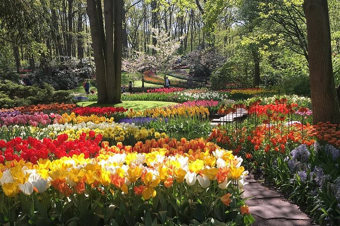 Half Day Keukenhof Tulip Paradise Trip From Amsterdam - Trip Highlights
