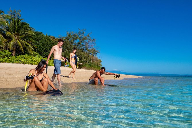 Half Day Low Isles Snorkelling Tour From Port Douglas - Traveler Requirements and Safety Measures