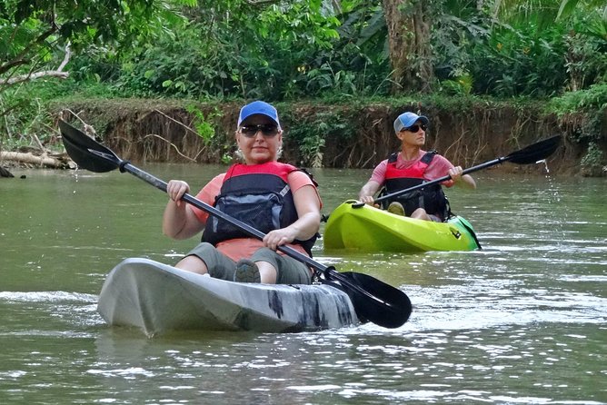 Half-Day Mangroves Tour by Kayak With a Naturalist Guide (Mar ) - Logistics and Pickup